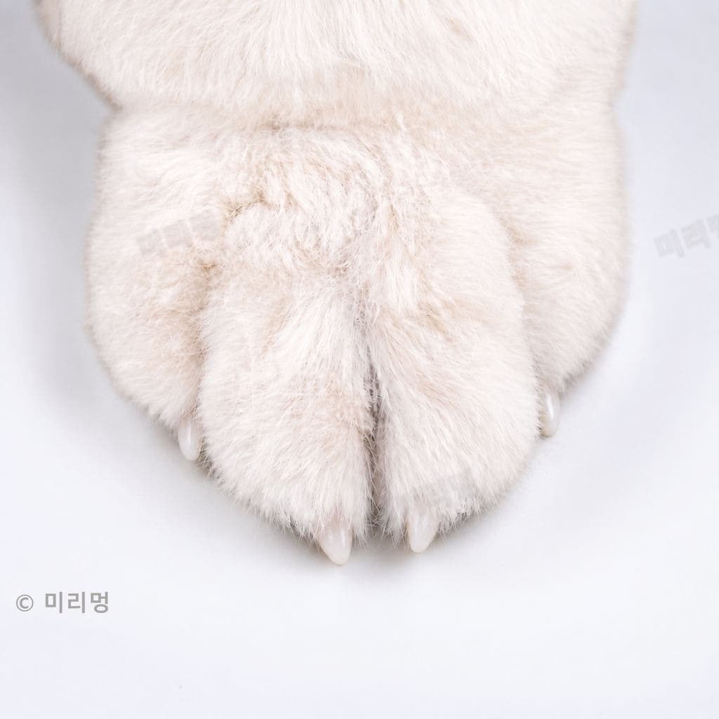 발 모양 — 곰발컷 예시 사진